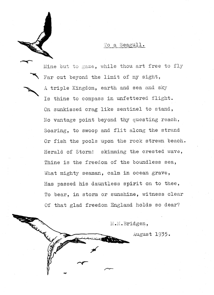 'The Seagull' by Monica Bridgen
